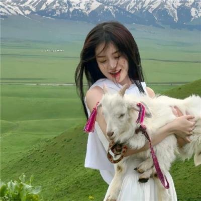 巅峰拍档第八季